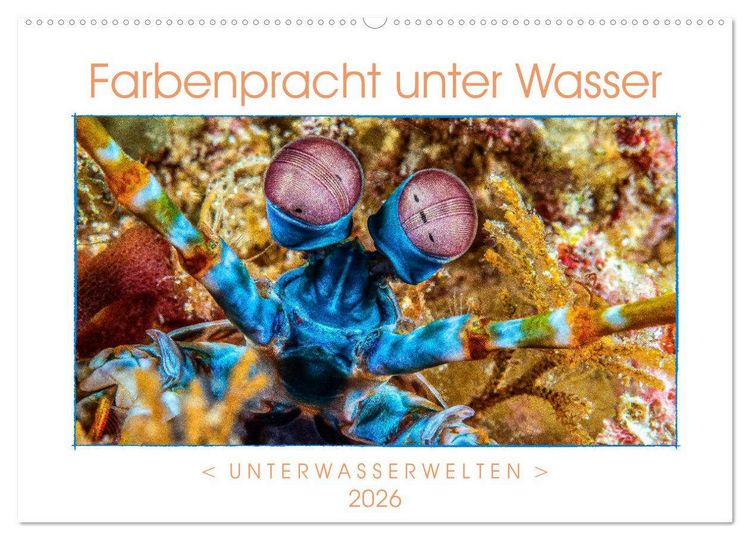 Produktbild: Farbenpracht unter Wasser (Wandkalender 2026 DIN A2 quer), CALVENDO Monatskalender