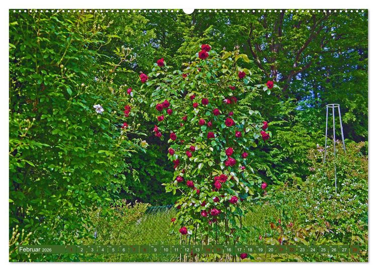 Produktbild: Rosengarten auf dem Beutig (hochwertiger Premium Wandkalender 2026 DIN A2 quer), Kunstdruck in Hochglanz