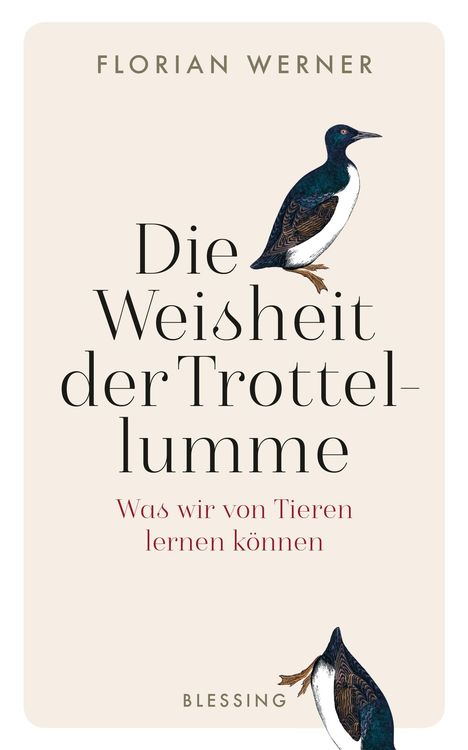 Produktbild: Die Weisheit der Trottellumme