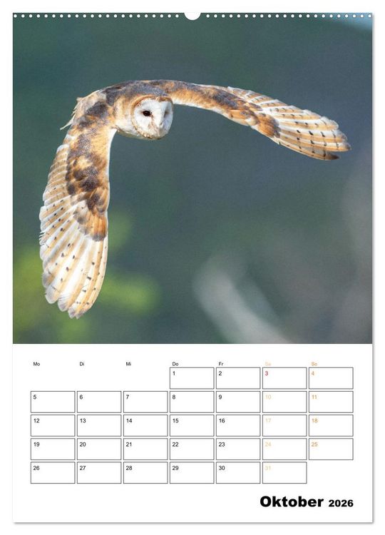 Produktbild: Wilde Tiere: Zuhause in Wald und Flur (Wandkalender 2026 DIN A2 hoch), CALVENDO Monatskalender