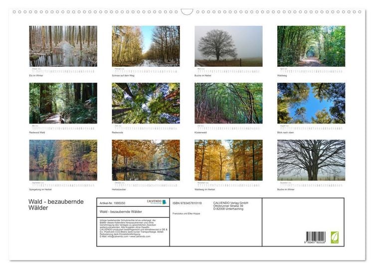 Produktbild: Wald - bezaubernde W&auml;lder (Wandkalender 2026 DIN A2 quer), CALVENDO Monatskalender