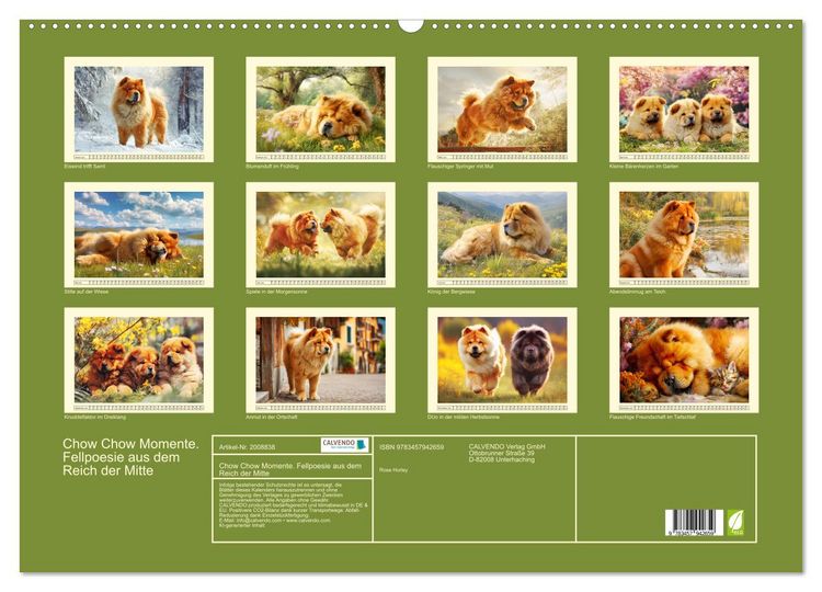 Produktbild: Chow Chow Momente. Fellpoesie aus dem Reich der Mitte (Wandkalender 2026 DIN A2 quer), CALVENDO Monatskalender