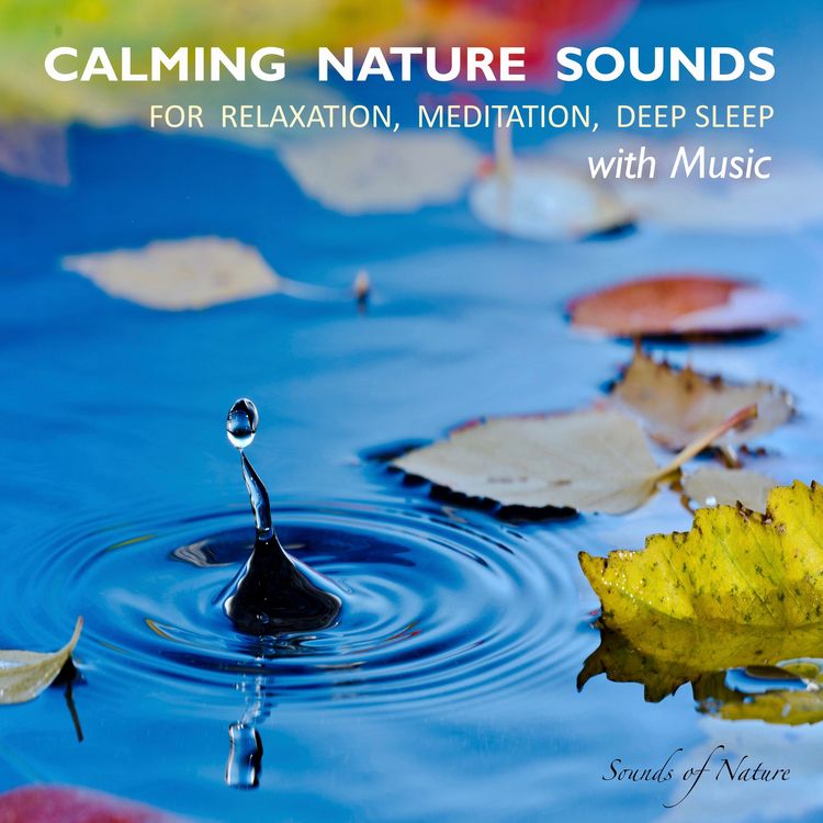 Produktbild: Calming Nature Sounds With Music: Sounds of Nature for Relaxation, Meditation, Deep Sleep