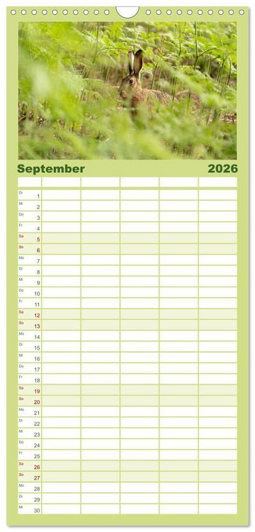 Produktbild: Familienplaner 2026 - Feldhasen unterwegs in Wald und Flur mit 5 Spalten (Wandkalender, 21 x 45 cm) CALVENDO