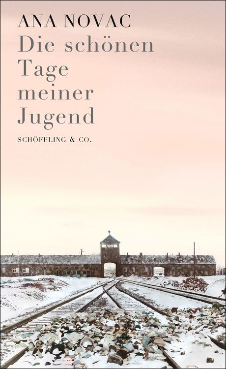 Produktbild: Die sch&ouml;nen Tage meiner Jugend