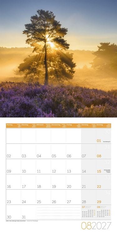 Produktbild: B&auml;ume Kalender 2027 - 30x30 - Art12