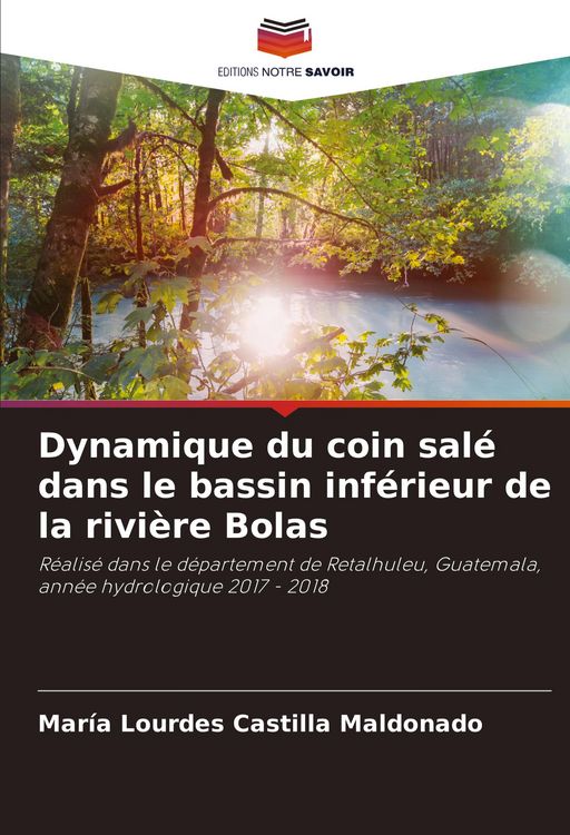 Produktbild: Dynamique du coin sal&eacute; dans le bassin inf&eacute;rieur de la rivi&egrave;re Bolas