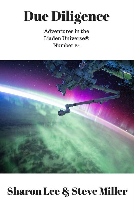 Produktbild: Due Diligence (Adventures in the Liaden Universe&reg;, #24)