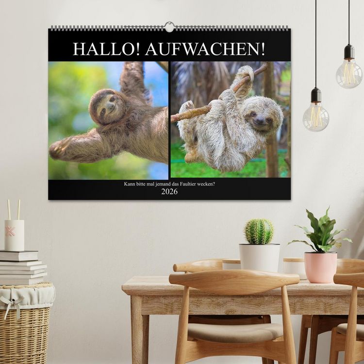 Produktbild: Hallo! Aufwachen! Kann bitte mal jemand das Faultier wecken? (Wandkalender 2026 DIN A2 quer), CALVENDO Monatskalender