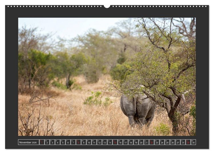 Produktbild: Das Wei&szlig;e Nashorn (Wandkalender 2026 DIN A2 quer), CALVENDO Monatskalender