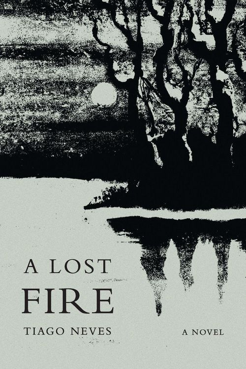 Produktbild: A Lost Fire