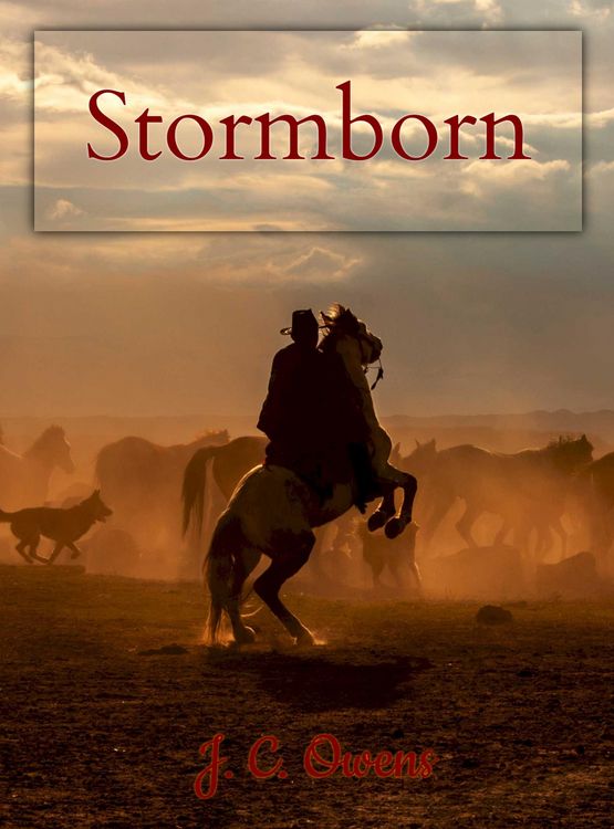 Produktbild: Stormborn (Poplar Ridge Ranch, #2)