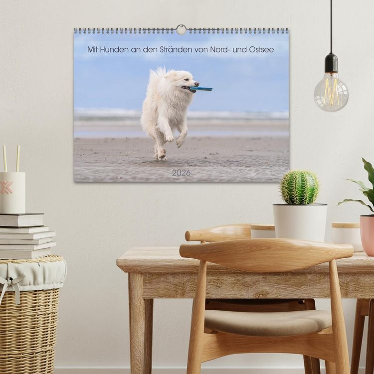 Produktbild: Mit Hunden an den Str&auml;nden von Nord- und Ostsee (Wandkalender 2026 DIN A3 quer), CALVENDO Monatskalender