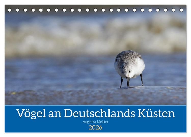 Produktbild: V&ouml;gel an Deutschlands K&uuml;sten (Tischkalender 2026 DIN A5 quer), CALVENDO Monatskalender