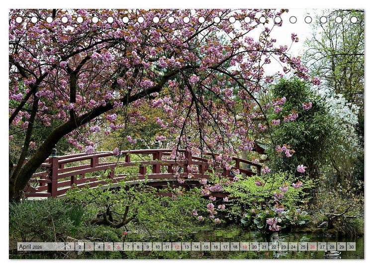 Produktbild: Leverkusen Hitdorf Wiesdorf Opladen (Tischkalender 2026 DIN A5 quer), CALVENDO Monatskalender