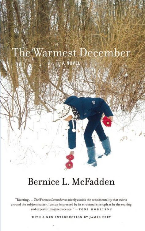 Produktbild: The Warmest December