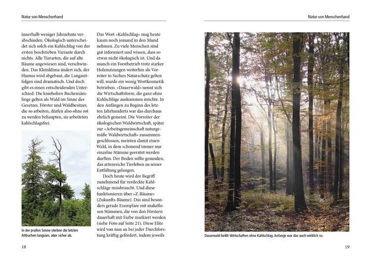 Produktbild: Menschenspuren im Wald