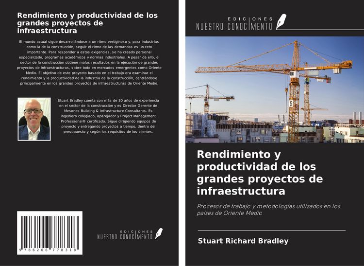 Produktbild: Rendimiento y productividad de los grandes proyectos de infraestructura