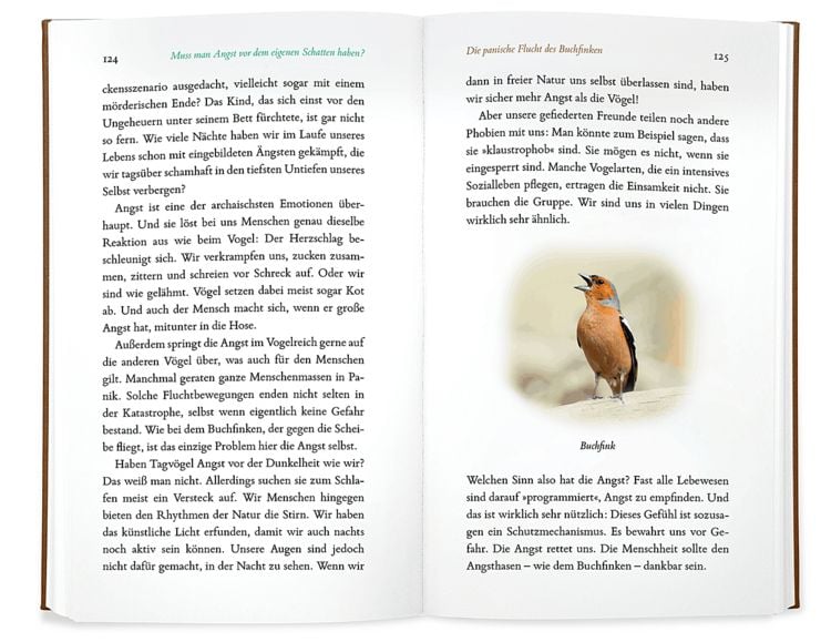Produktbild: Kleine Philosophie der V&ouml;gel