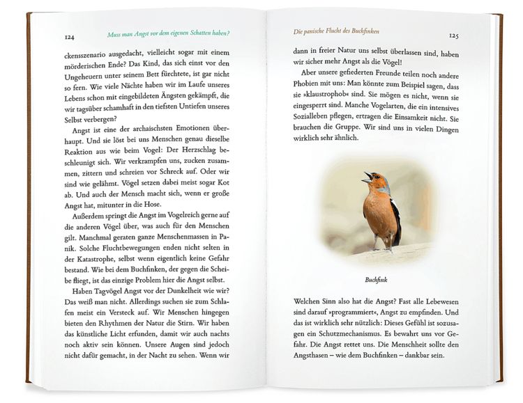 Produktbild: Kleine Philosophie der V&ouml;gel