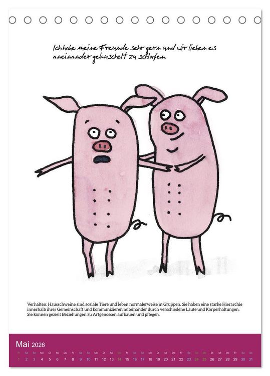 Produktbild: Schweinekalender - Alles was du &uuml;ber Schweine wissen wolltest! (Tischkalender 2026 DIN A5 hoch), CALVENDO Monatskalender