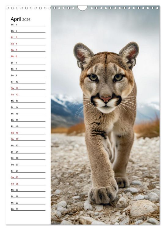 Produktbild: Ganz von vorn (Wandkalender 2026 DIN A3 hoch), CALVENDO Monatskalender