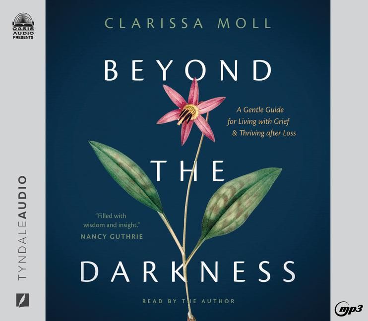 Produktbild: Beyond the Darkness