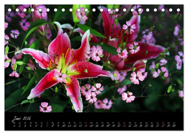 Produktbild: Florales Sonett - Visuelle Musik der Blumen (Tischkalender 2026 DIN A5 quer), CALVENDO Monatskalender