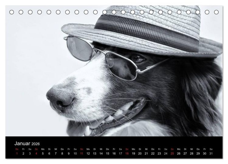 Produktbild: H&uuml;tehunde (Tischkalender 2026 DIN A5 quer), CALVENDO Monatskalender