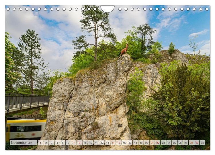 Produktbild: Sigmaringen Impressionen (Wandkalender 2026 DIN A4 quer), CALVENDO Monatskalender