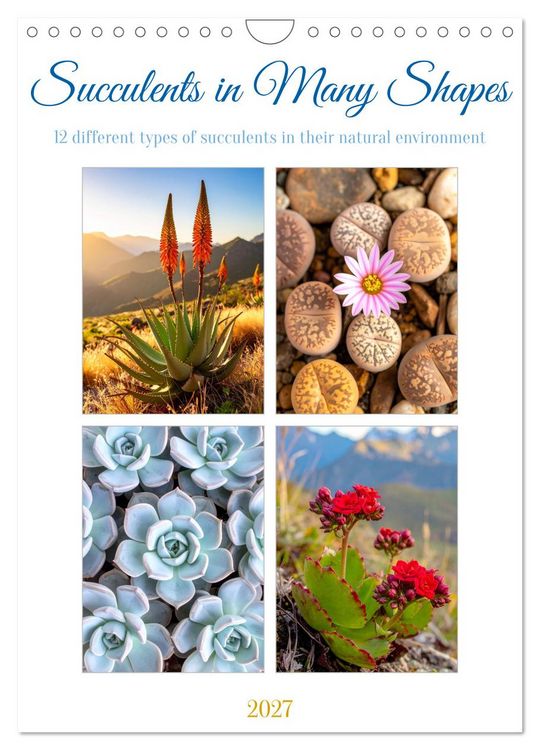 Produktbild: Succulents in Many Shapes (Wall Calendar 2027 DIN A4 portrait), CALVENDO 12 Month Wall Calendar