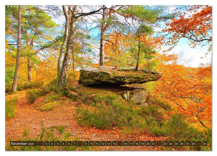 Produktbild: Der Altschlossfelsen - Gr&ouml;&szlig;te Felsformation der Pfalz im herbstlichen Farbspiel (hochwertiger Premium Wandkalender 2026 DIN A2 quer), Kunstdruck in Hochglanz