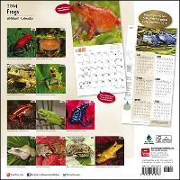 Produktbild: Frogs Calendar