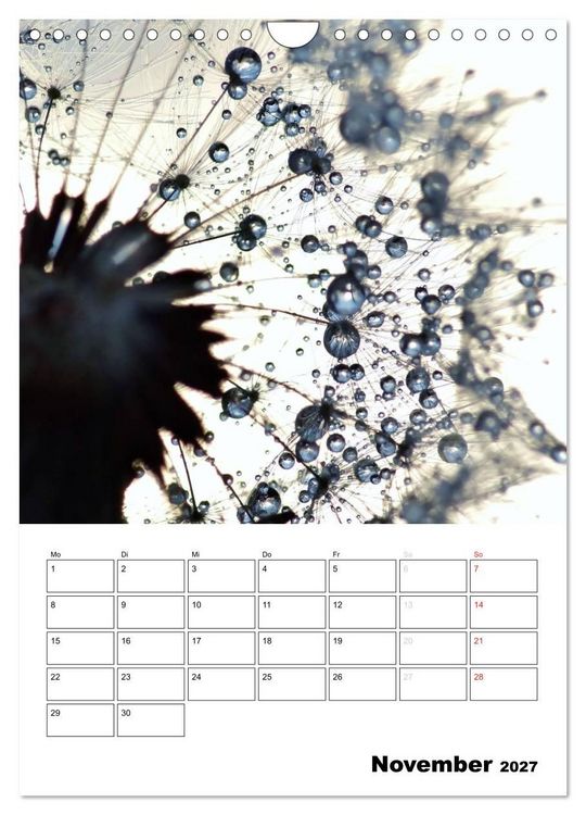 Produktbild: Pusteblumentraum - Dreams of Dandelion (Wandkalender 2027 DIN A4 hoch), CALVENDO Monatskalender