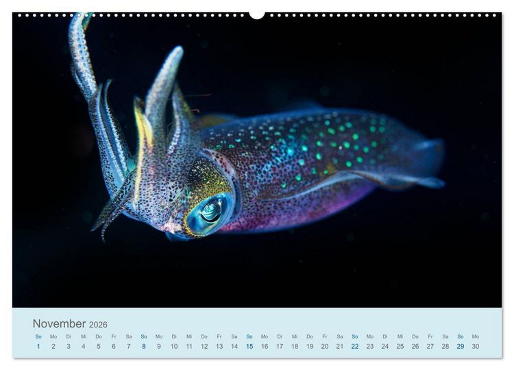 Produktbild: Abenteuer Unterwasser (Wandkalender 2026 DIN A2 quer), CALVENDO Monatskalender