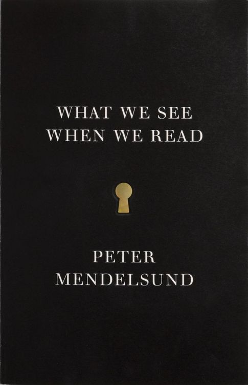 Produktbild: What We See When We Read