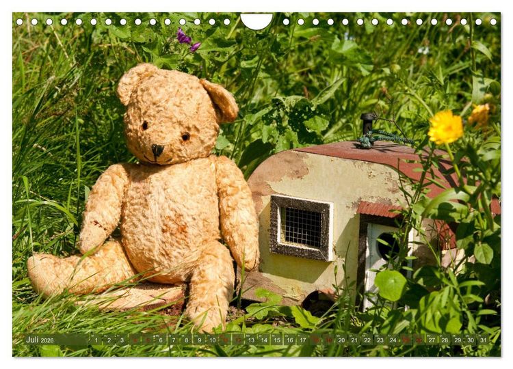 Produktbild: Kunterbunte B&auml;renwelt - Teddys (Wandkalender 2026 DIN A4 quer), CALVENDO Monatskalender