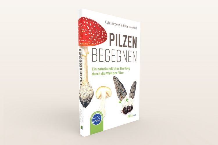 Produktbild: Pilzen begegnen
