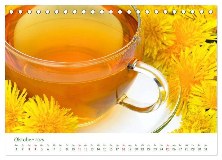 Produktbild: Arzneipflanzen (Tischkalender 2026 DIN A5 quer), CALVENDO Monatskalender