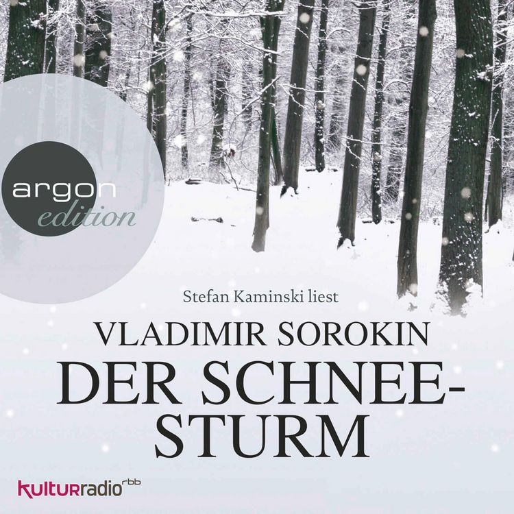 Produktbild: Der Schneesturm