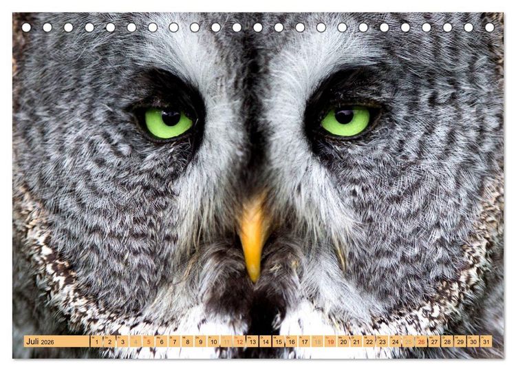 Produktbild: Tiere Schau mir in die Augen (Tischkalender 2026 DIN A5 quer), CALVENDO Monatskalender