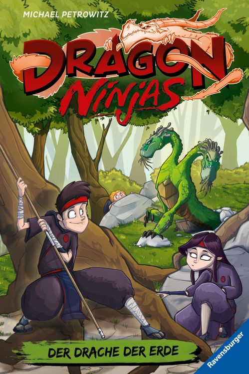 Produktbild: Dragon Ninjas, Band 4 - Der Drache der Erde