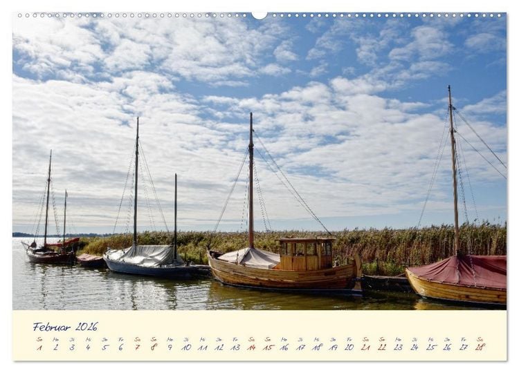 Produktbild: OSTSEEGL&Uuml;CK - Gl&uuml;cksmomente auf dem Dar&szlig; (Wandkalender 2026 DIN A2 quer), CALVENDO Monatskalender