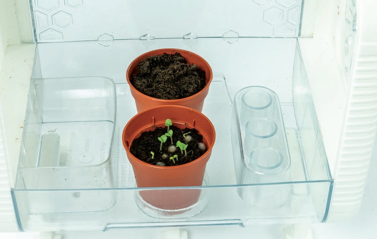 Produktbild: Galileo High Tech Gew&auml;chshaus