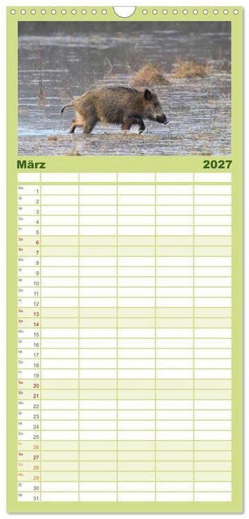 Produktbild: Familienplaner 2027 - Wildschweine &ndash; Wildlife Fotografien mit 5 Spalten (Wandkalender, 21 x 45 cm) CALVENDO