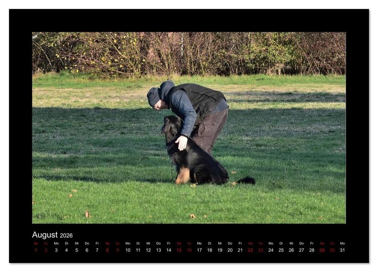 Produktbild: Der Hovawart... Dein Freund f&uuml;rs Leben ! (Wandkalender 2026 DIN A4 quer), CALVENDO Monatskalender
