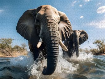 Produktbild: CALVENDO Puzzle Gro&szlig;e Elefanten | 2000 Teile Lege-Gr&ouml;&szlig;e 90x67cm Foto-Puzzle f&uuml;r gl&uuml;ckliche Stunden