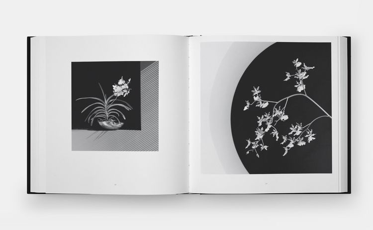 Produktbild: Mapplethorpe Flora: The Complete Flowers (2024)