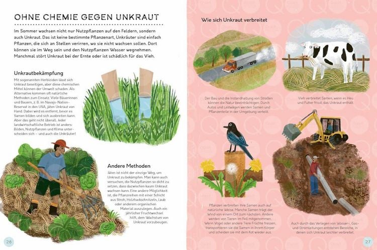 Produktbild: Vom Feld auf den Teller