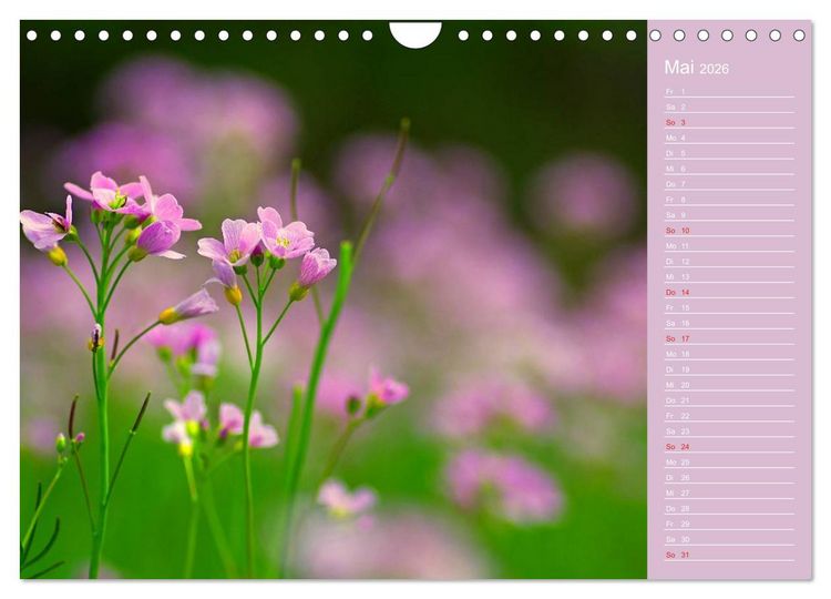 Produktbild: Blumenfreude Schweizer Kalendarium (Wandkalender 2026 DIN A4 quer), CALVENDO Monatskalender